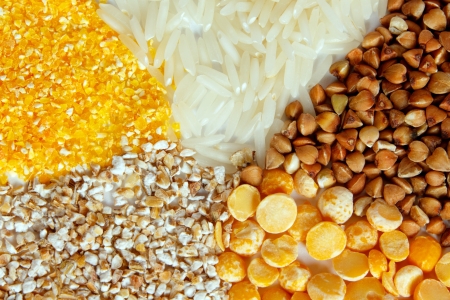 Sector of rices, buckwheat, barley grits, corn grits, peasの写真素材