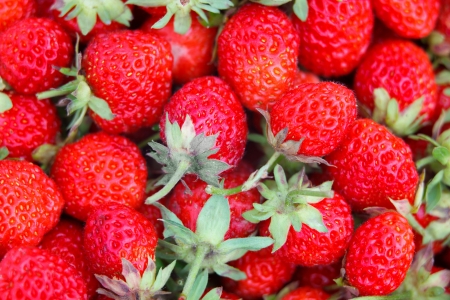 Many strawberries as a textureの写真素材
