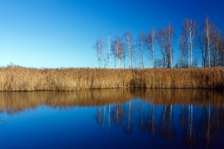 Landscape with water and birches in Autumnの写真素材