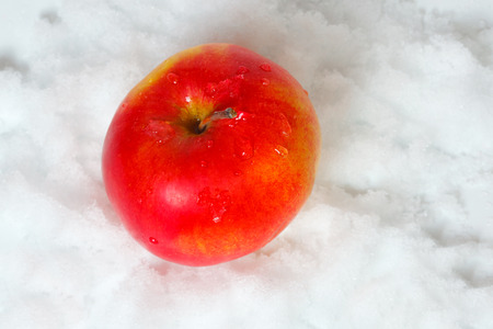 One apple in the snowの写真素材
