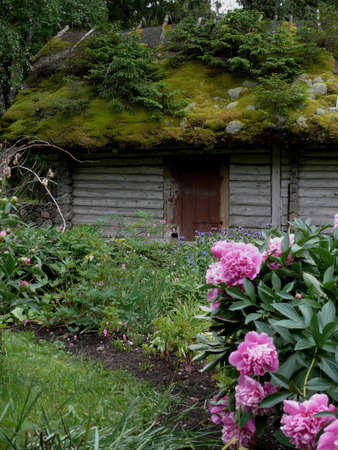 Wooden house with a green roof in Estoniaの写真素材