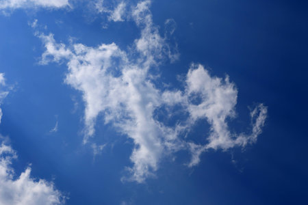 The Cat Cloud