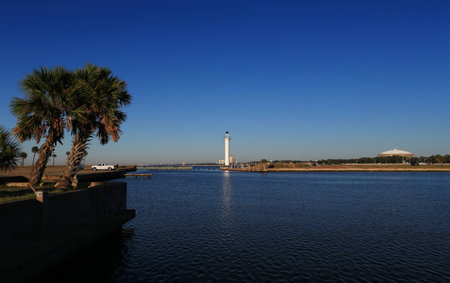Lighthouse Beyond the Palmsの写真素材