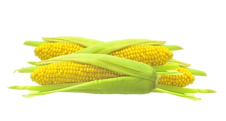 Sweet golden corn isolated on white backgroundの写真素材