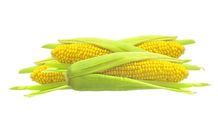 Sweet golden corn isolated on white backgroundの写真素材