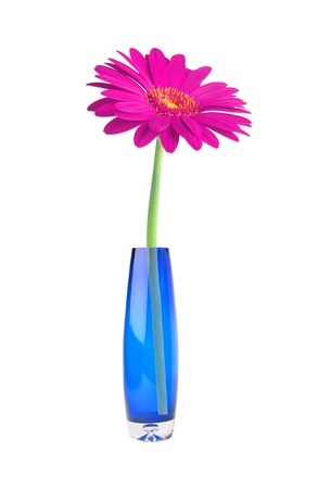 Single pink gerbera flower in vase isolated on whiteの写真素材