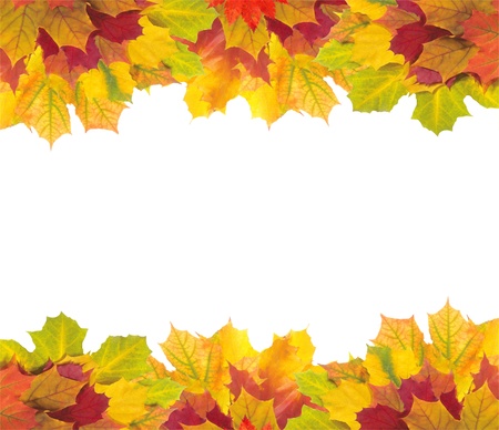 Autumn card of colorful leaves over whiteの写真素材