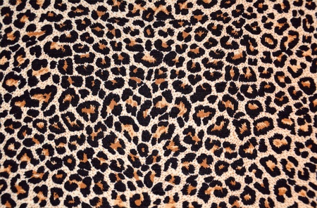 abstract texture of leopard fur (skin)の写真素材