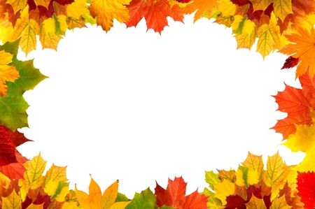 Colorful autumn maple leaves card for your text の写真素材