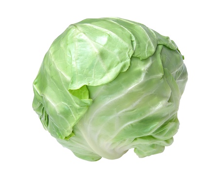 tasty cabbage isolated on white backgroundの写真素材