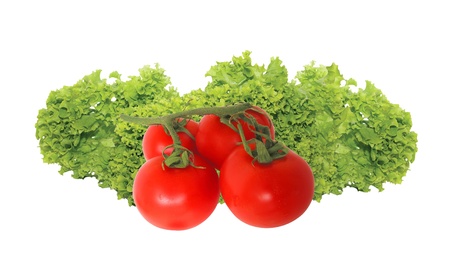 red tomato vegetables on the green salad (lettuce) isolated on whiteの写真素材