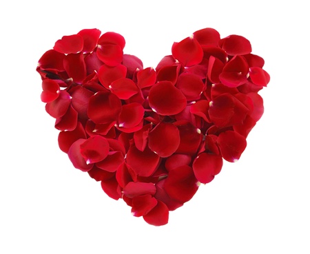 beautiful heart of red rose petals isolated on whiteの写真素材