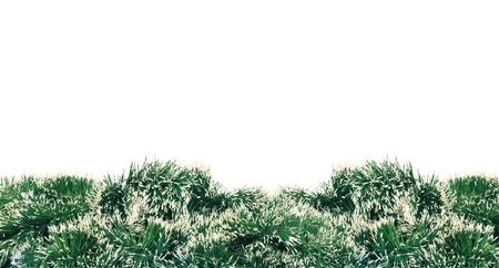 green new year tree decoration over white backgroundの写真素材