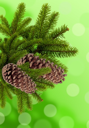 green branch of Christmas tree with cones over green backgroundの写真素材