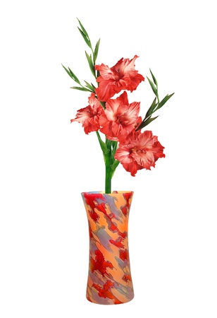 Red gladiolus in colorful vase isolated on whiteの写真素材