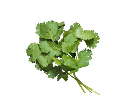 fresh bunch of parsley isolated on whiteの写真素材