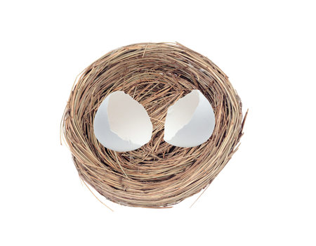 broken chicken eggs in a nest isolated on white