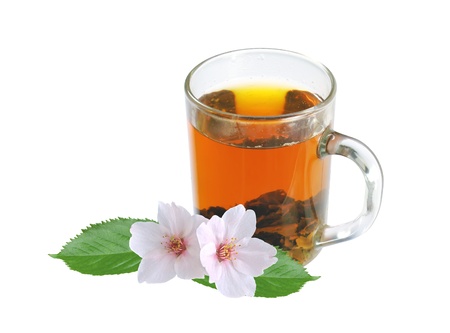 green tea with jasmine flowers in glass cup isolated on white backgroundの写真素材