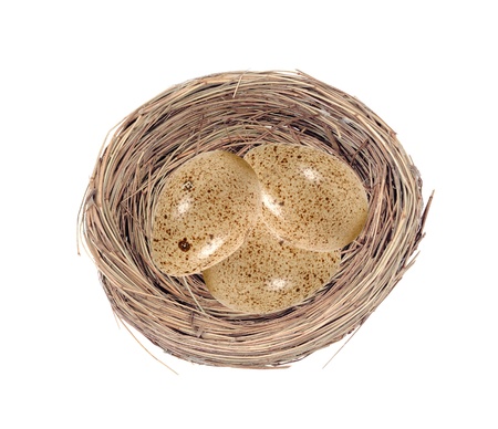 Group of quail spotted eggs in the grassy nest isolated on whiteの写真素材
