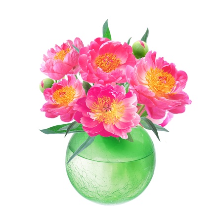 Peony Flowers Bouquet in Vase isolated on white background の写真素材