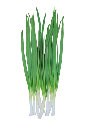 green onions isolated on white backgroundの写真素材