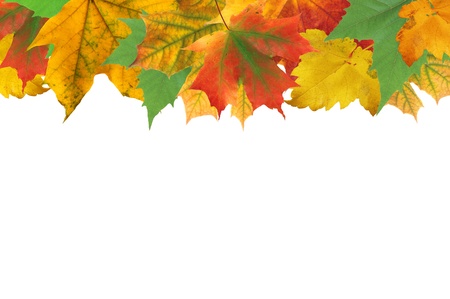 Autumn leaves frame over white for your textの写真素材