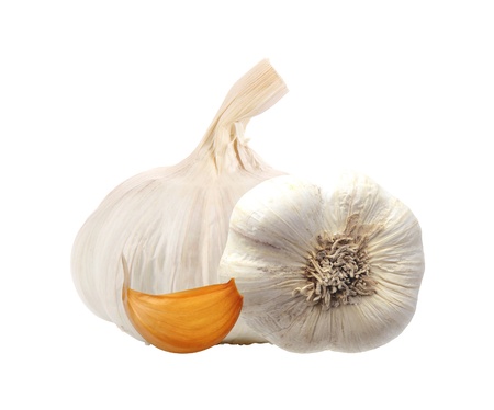 Garlic isolated on white backgroundの写真素材