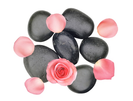 Black spa stones and pink rose with petals isolated on white backgroundの写真素材