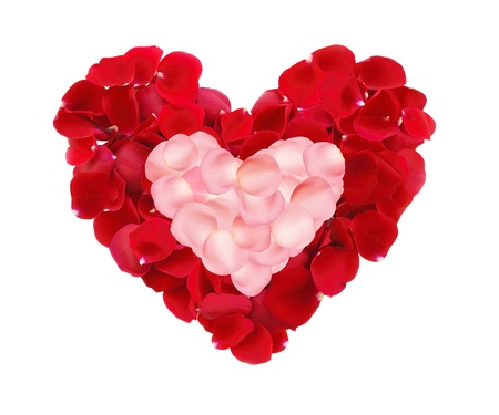 beautiful hearts of red and pink rose petals isolated on whiteの写真素材