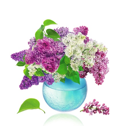 Beautiful Bunch of Lilac in the Vaseの写真素材