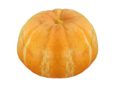 ripe orange pumpkin isolated on white backgroundの写真素材