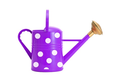 violet polka dot watering can isolated on whiteの写真素材