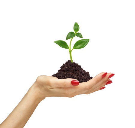 woman's hand holding a plant growing out of the ground, on white background close-upの写真素材