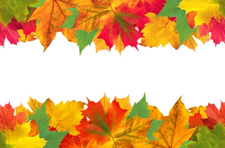Autumn leaves frame over white for your textの写真素材