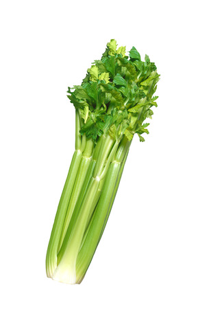 fresh green celery isolated on white backgroundの写真素材