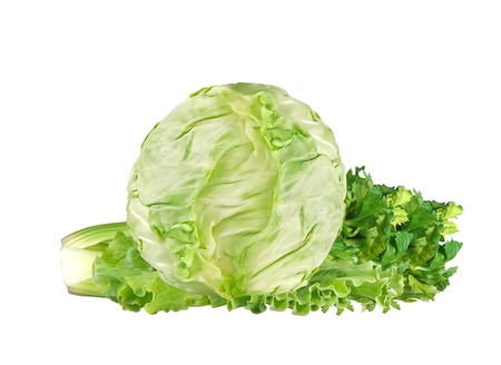 Green cabbage and celery isolated on white backgroundの写真素材