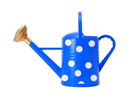 blue polka dot watering can isolated on white backgroundの写真素材