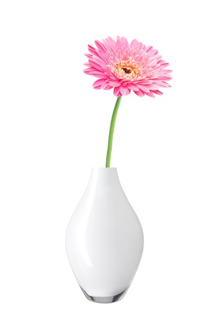 beautiful pink gerbera daisy flower in vase isolated on white backgroundの写真素材