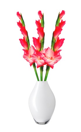 Beautiful red gladiolus in vase isolated on white backgroundの写真素材