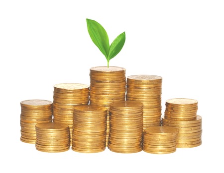 golden coins and green plant isolated on whiteの写真素材