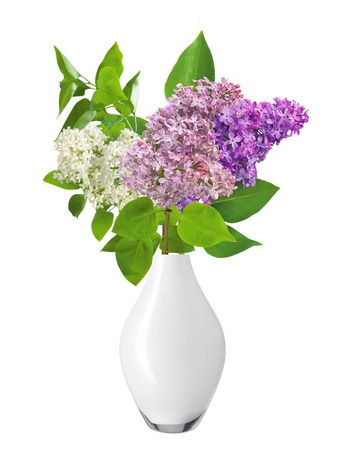 Beautiful Bunch of Lilac in the Vase isolated on whiteの写真素材