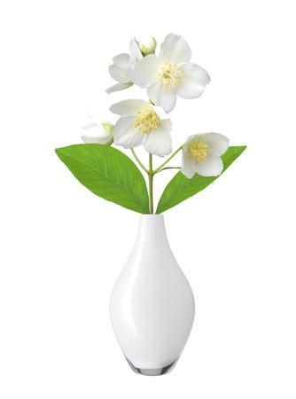 White flower (jasmine) in vase isolated on white background.の写真素材
