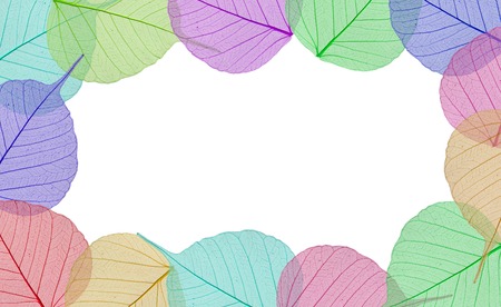 Decorative colorful skeleton leaves backgroundの写真素材