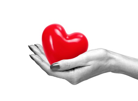 Red heart in woman hand, isolated on whiteの写真素材