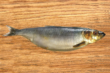 Smoked Mackarel on the wooden tableの写真素材