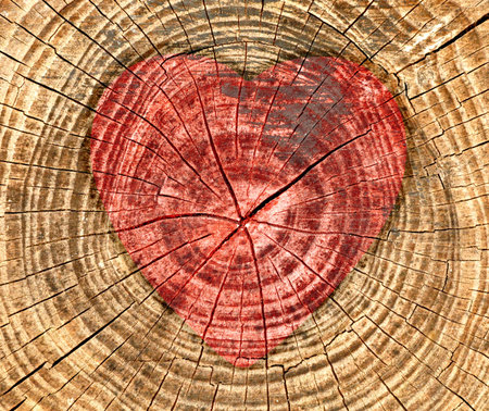 red heart over cracked wooden backgroundの写真素材