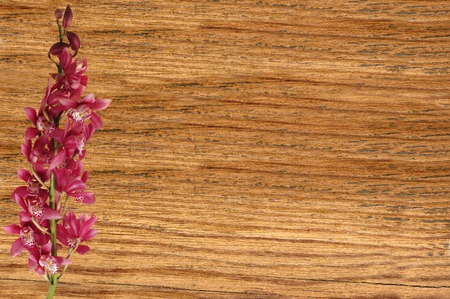 Beautiful pink orchid over wooden texture close-upの写真素材