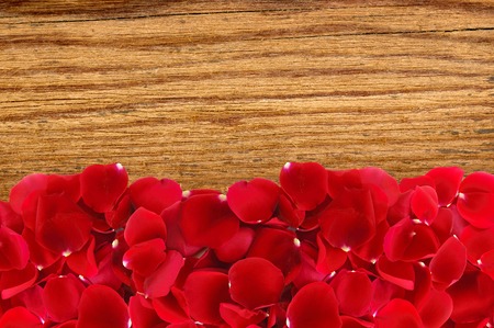 beautiful red rose petals over wood texture close-upの写真素材