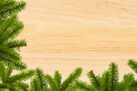 Vintage christmas background - old wood board with green christmas tree branch