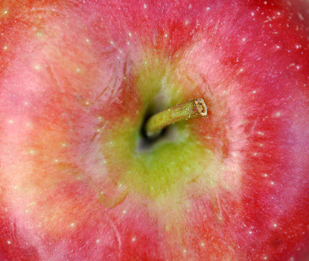 red apple background macro